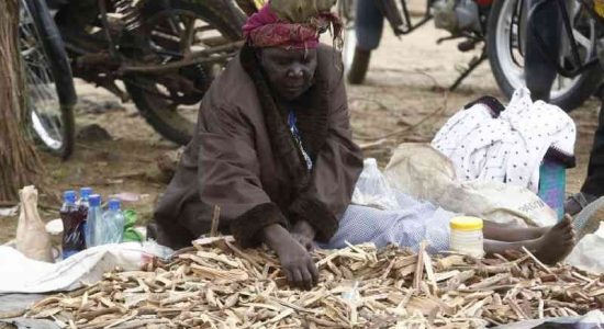 ARBl7EcFacgnZ81NSrM1SWVo3ZQxv9QY7Ja3NmK3