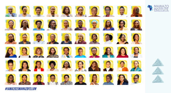 Meet the Fellows Website